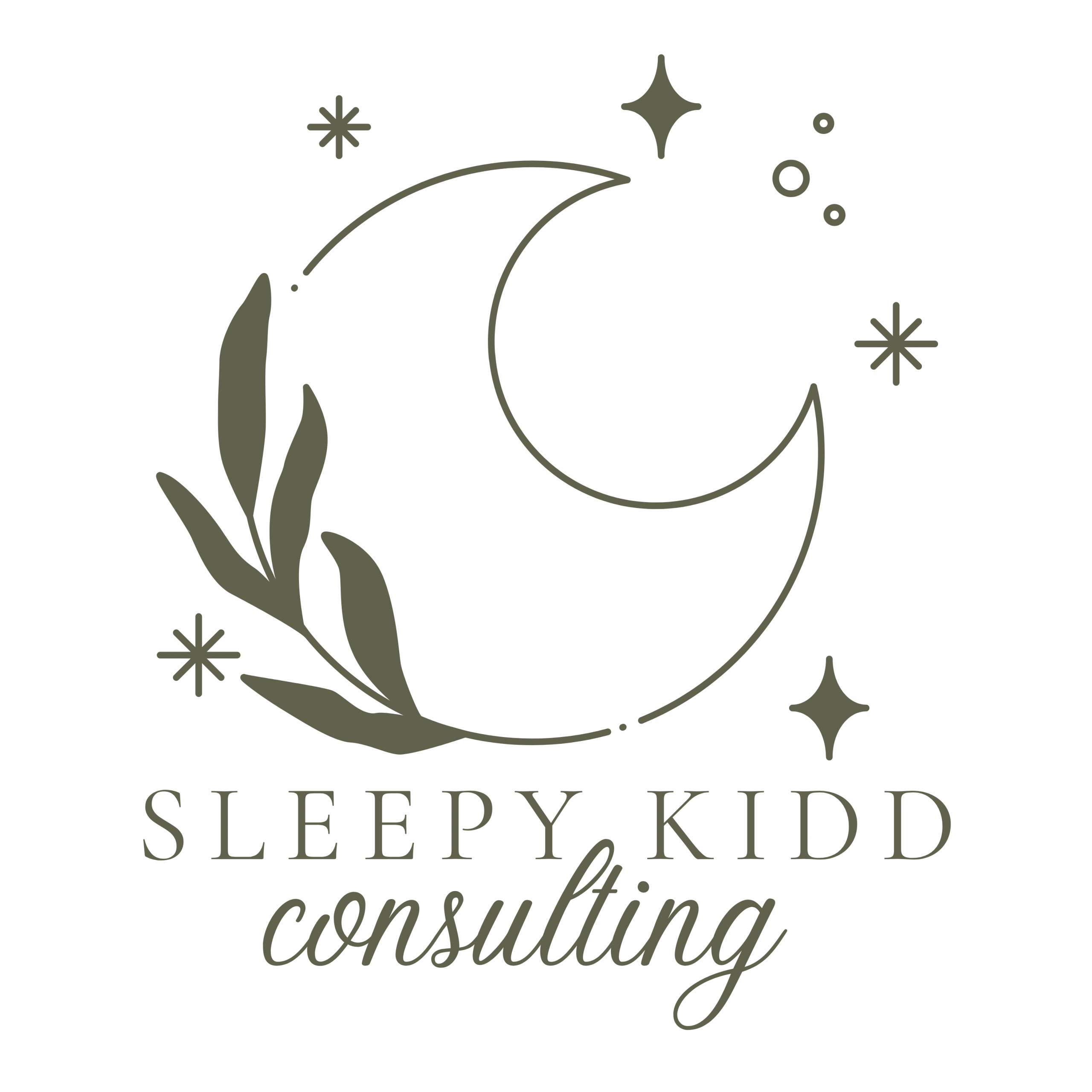 Sleepy Kidd Consulting